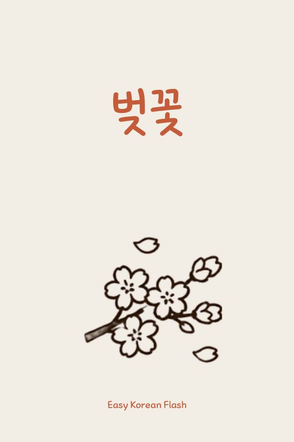 벚꽃